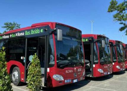 Giubileo, arrivano i primi 15 bus della gara da 110 mezzi: il piano dell'Atac